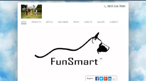 Fun Smart